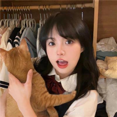鸟瞰人生
